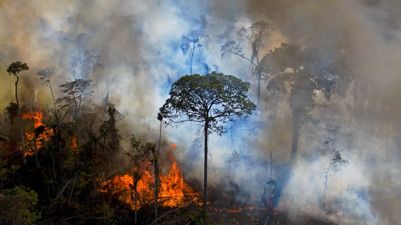 queimadas no Amazonas