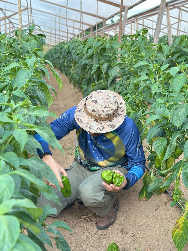 Agricultor e empresário: Cearazin Semisera