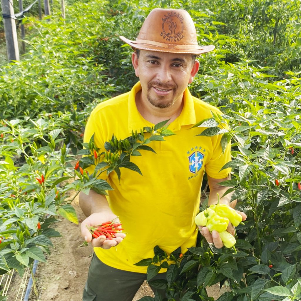 Dia do agricultor